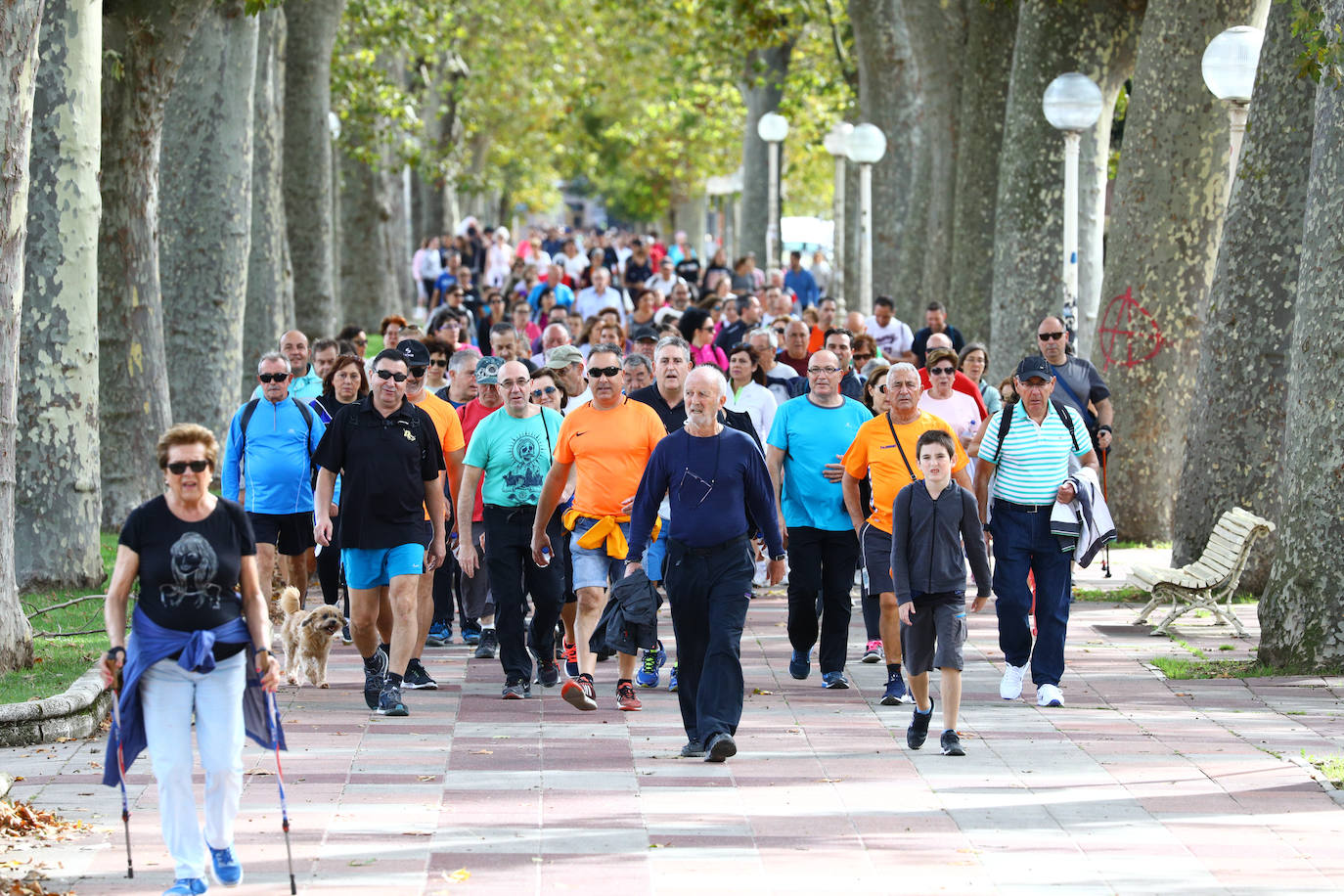 La popular cita ha reunido este año a cerca de dos mil participantes en un recorrido cargado de buen ambiente por el parque de Olárizu. Todo lo recaudado a través de las inscripciones para esta prueba que nació en 2012, coincidiendo con el reinado de Vitoria como 'Green Capital', irá destinado a la agencia de colocación de parados que Cáritas tiene en el barrio de Zaramaga.