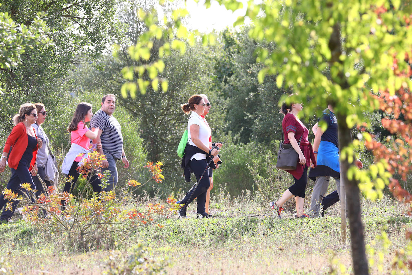 La popular cita ha reunido este año a cerca de dos mil participantes en un recorrido cargado de buen ambiente por el parque de Olárizu. Todo lo recaudado a través de las inscripciones para esta prueba que nació en 2012, coincidiendo con el reinado de Vitoria como 'Green Capital', irá destinado a la agencia de colocación de parados que Cáritas tiene en el barrio de Zaramaga.