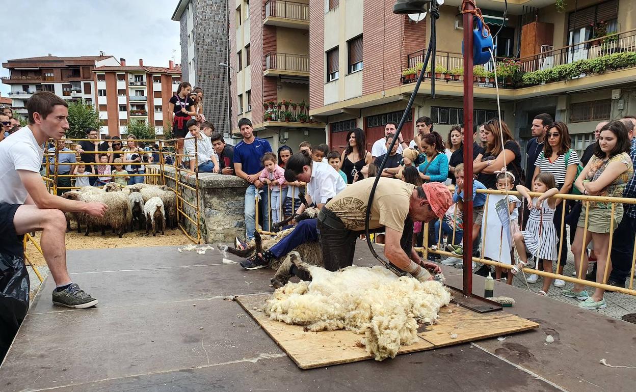 Ovejas, pastores y toda la actividad que generan a su alrededor, protagonizaron la fiesta del Artzain Eguna en Amurrio. 