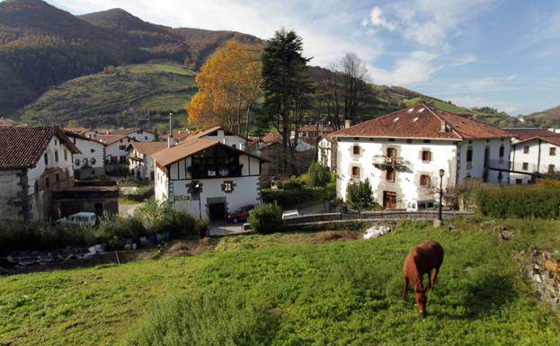 Caseríos en el pueblo de Leitza. 