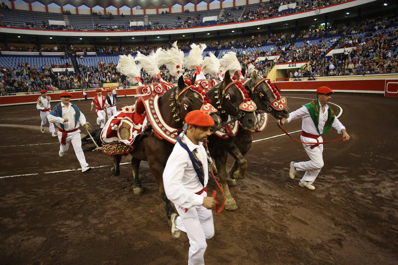 Uno de los toros es retirado del ruedo tras la faena.