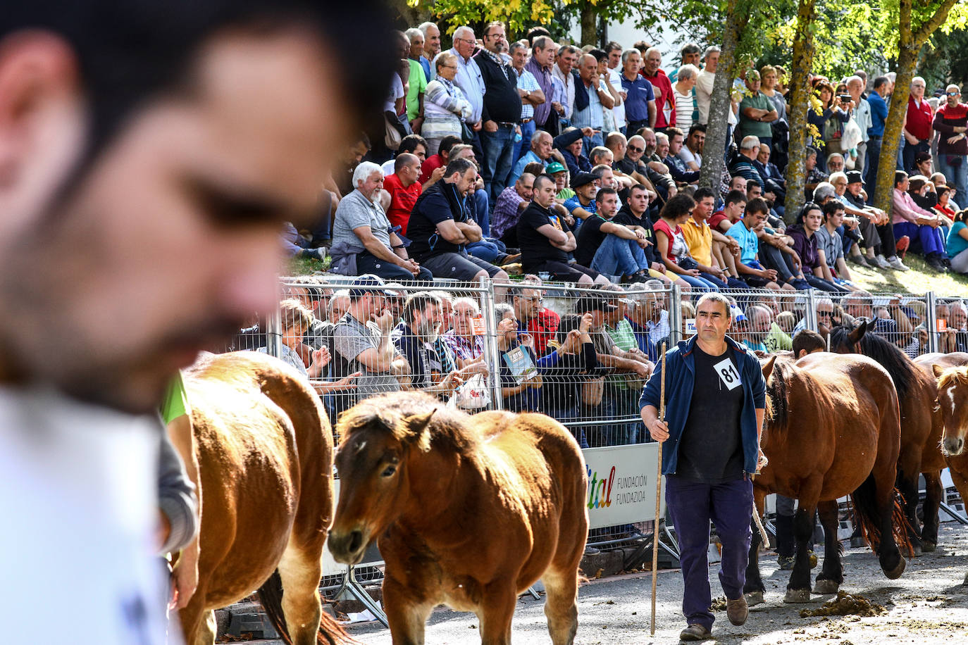 Fotos: Salvatierra vuelve a celebrar su tradicional feria