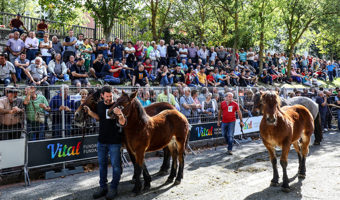 Fotos: Salvatierra vuelve a celebrar su tradicional feria