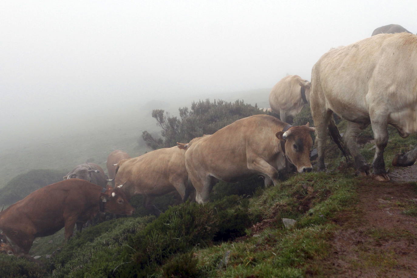 Fotos: El parque natural de Saja-Besaya, la joya de Cantabria