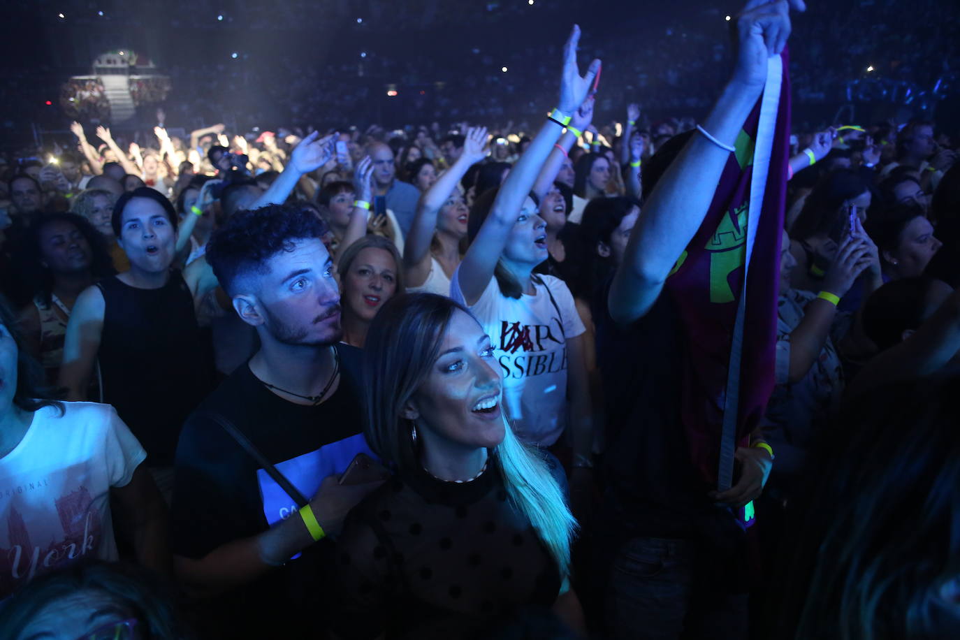 Bisbal, durante el concierto.