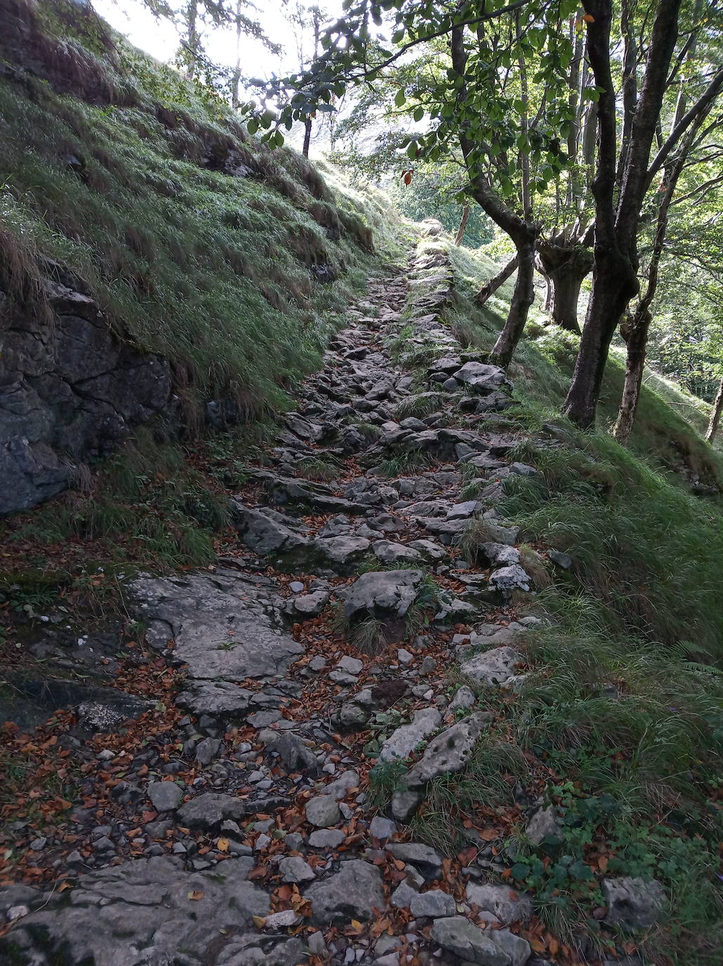 Fotos: Hayedo de Upo (cima: Upo)