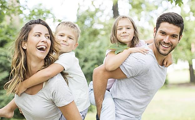 La intención de la moción era realizar un estudio sobre la situación de Álava.