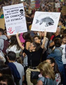 Imagen secundaria 2 - Un grito histórico por el Mar Menor