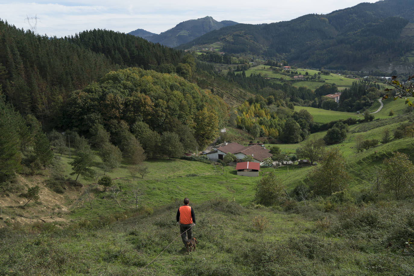 Batida de jabalís en la mancha de Larruskain-Kalamua organizada el pasado fin de semana. Una veintena de cazadores peinan con sus sabuesos los montes que rodean Berriz, Mallabia y Markina. El rastreo se prolonga durante horas por un terreno accidentado de argomas y helechos