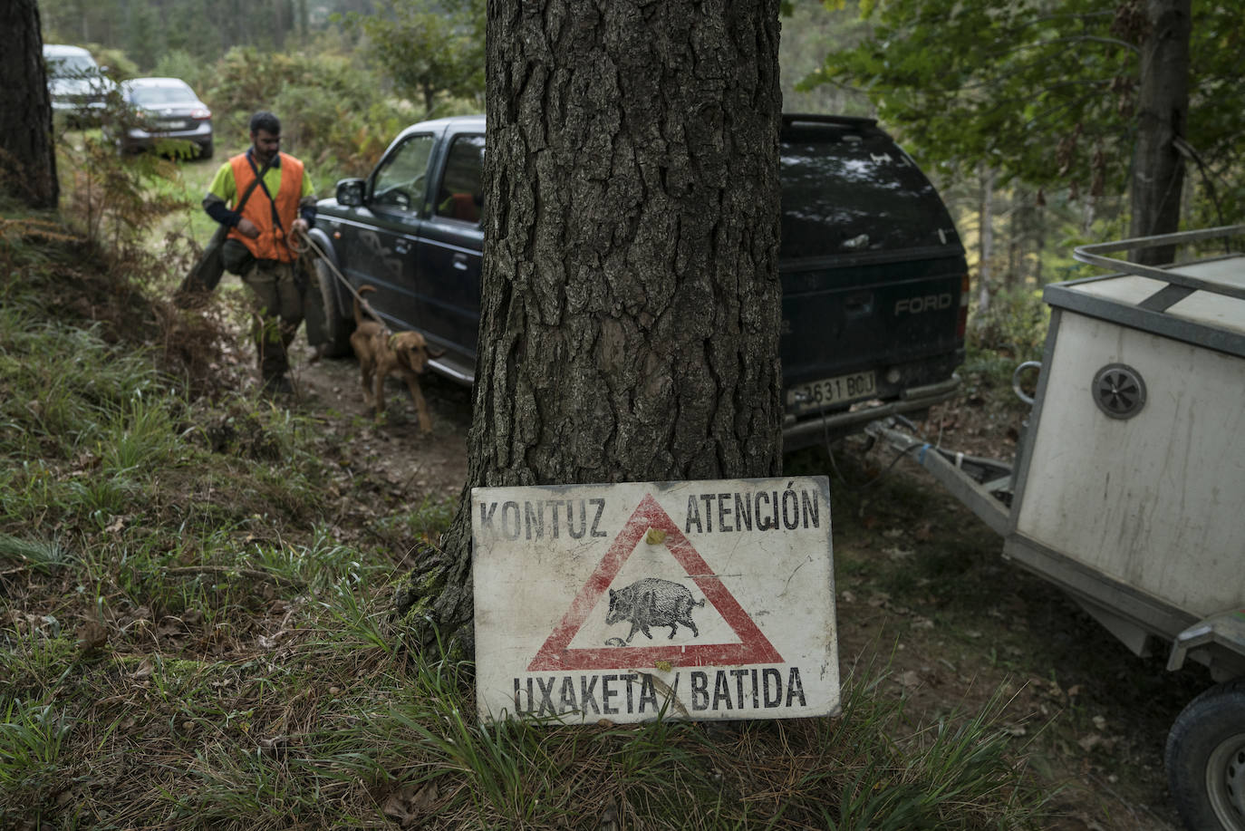 Batida de jabalís en la mancha de Larruskain-Kalamua organizada el pasado fin de semana. Una veintena de cazadores peinan con sus sabuesos los montes que rodean Berriz, Mallabia y Markina. El rastreo se prolonga durante horas por un terreno accidentado de argomas y helechos