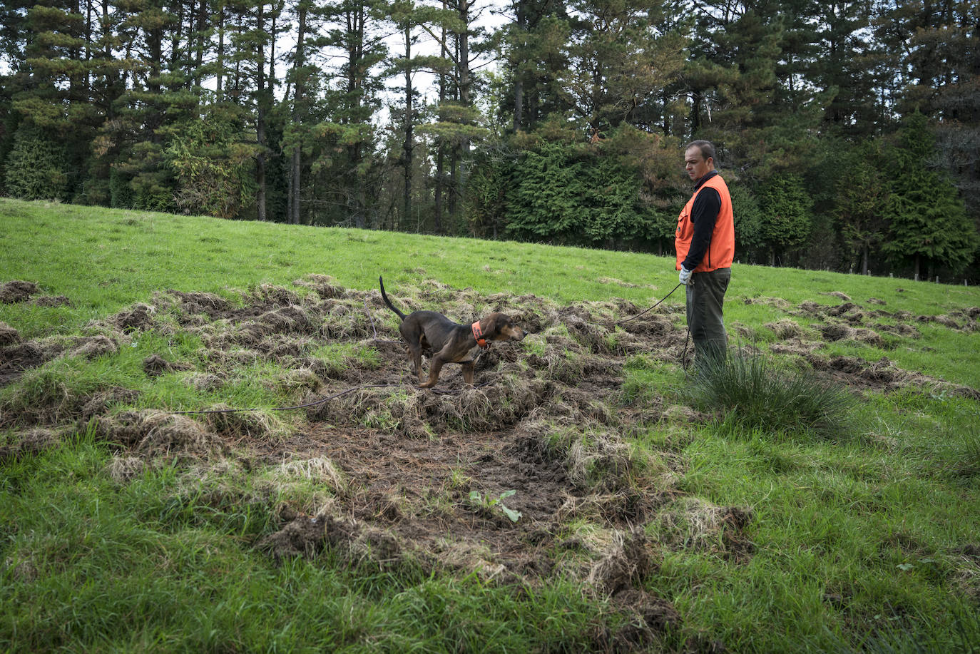 Batida de jabalís en la mancha de Larruskain-Kalamua organizada el pasado fin de semana. Una veintena de cazadores peinan con sus sabuesos los montes que rodean Berriz, Mallabia y Markina. El rastreo se prolonga durante horas por un terreno accidentado de argomas y helechos