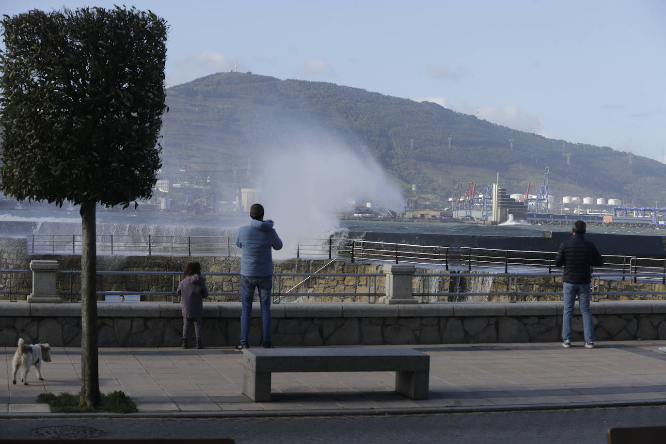 Fotos: Las imágenes del viento en Bizkaia