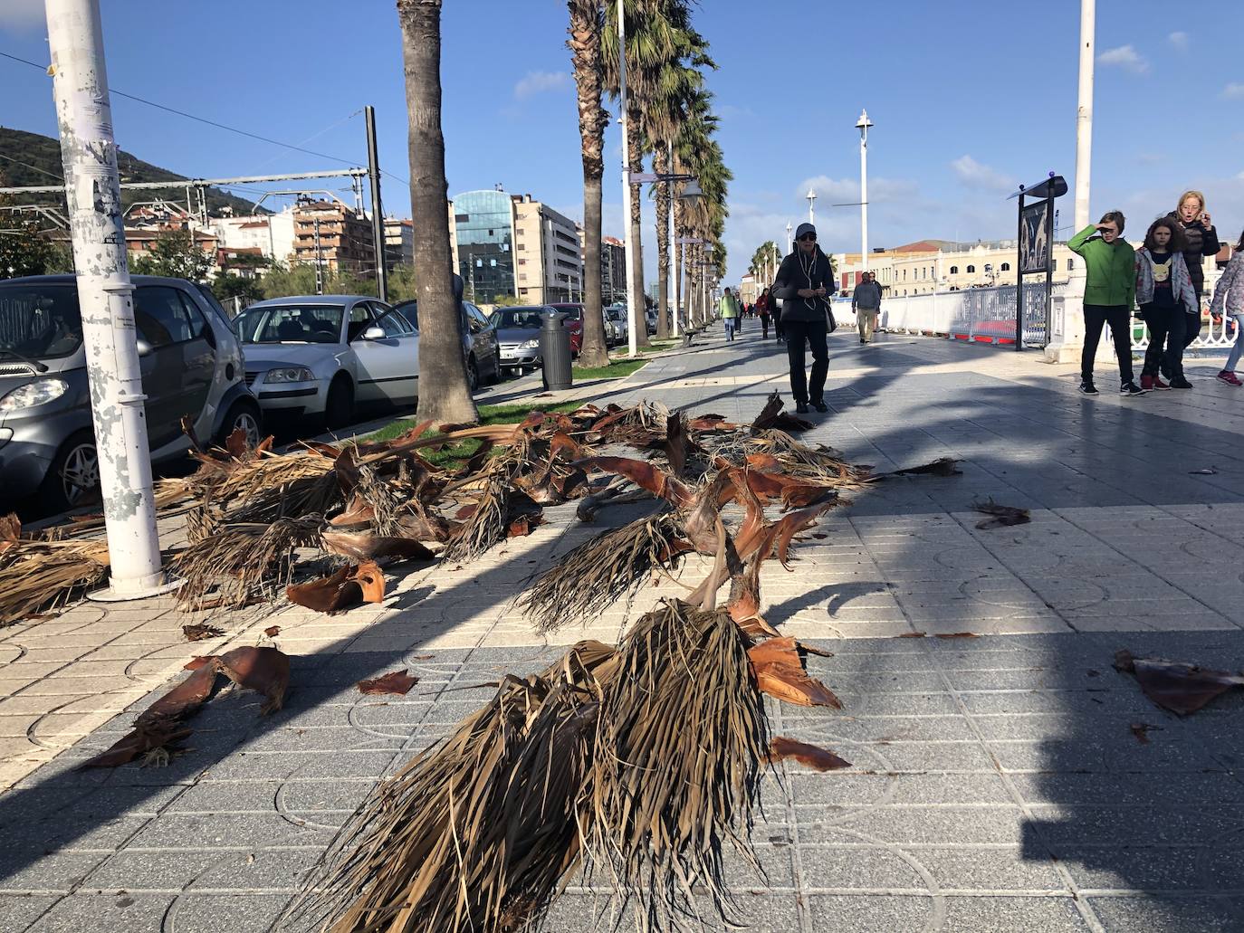 Fotos: Las imágenes del viento en Bizkaia