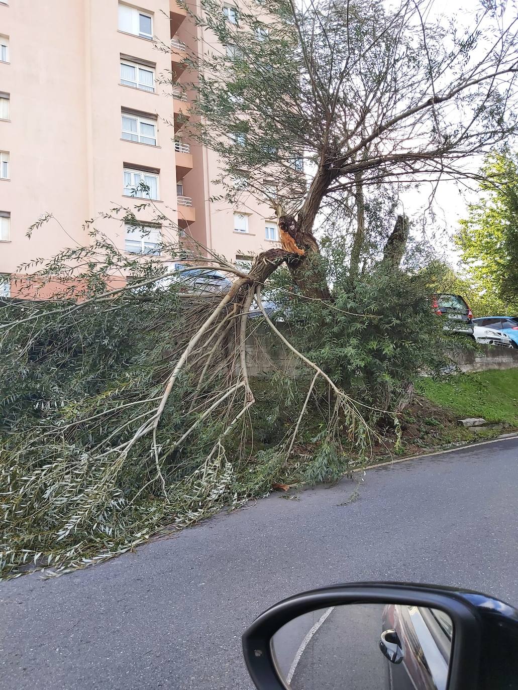 Fotos: Las imágenes del viento en Bizkaia