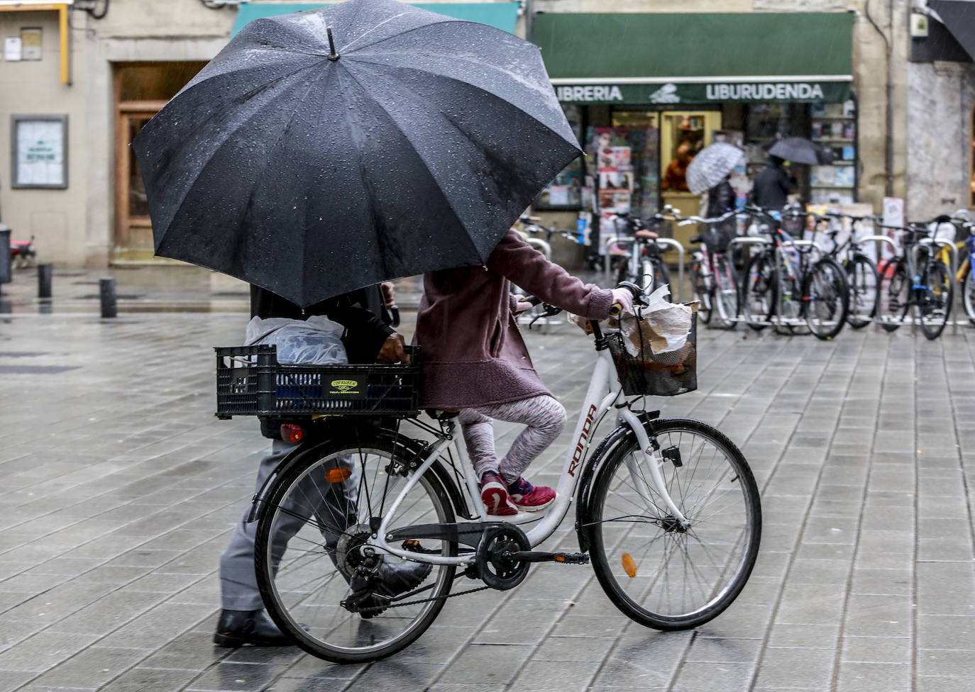 Fotos: Primeras nieves y persistentes lluvias en Álava