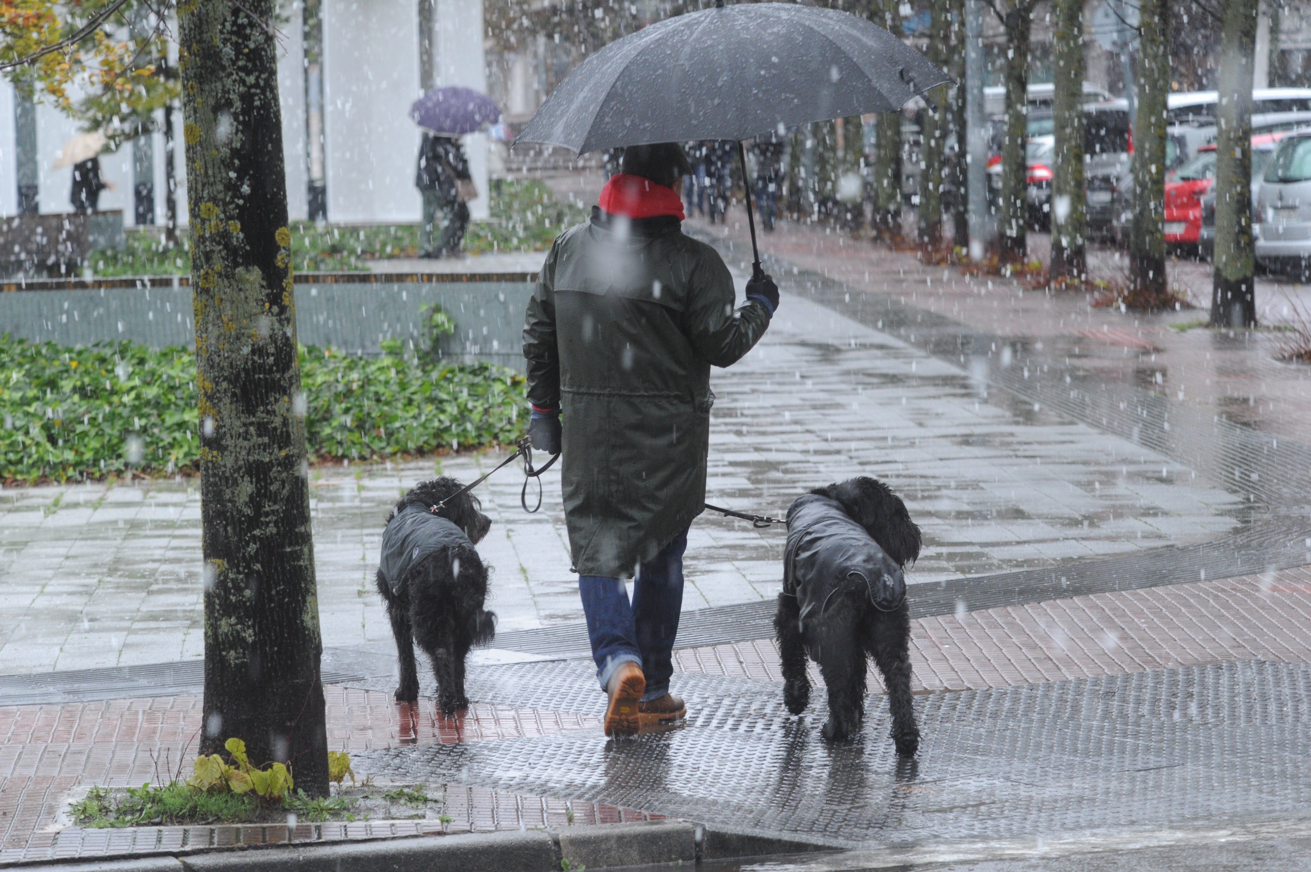 Fotos: La nieve cubre de el territorio