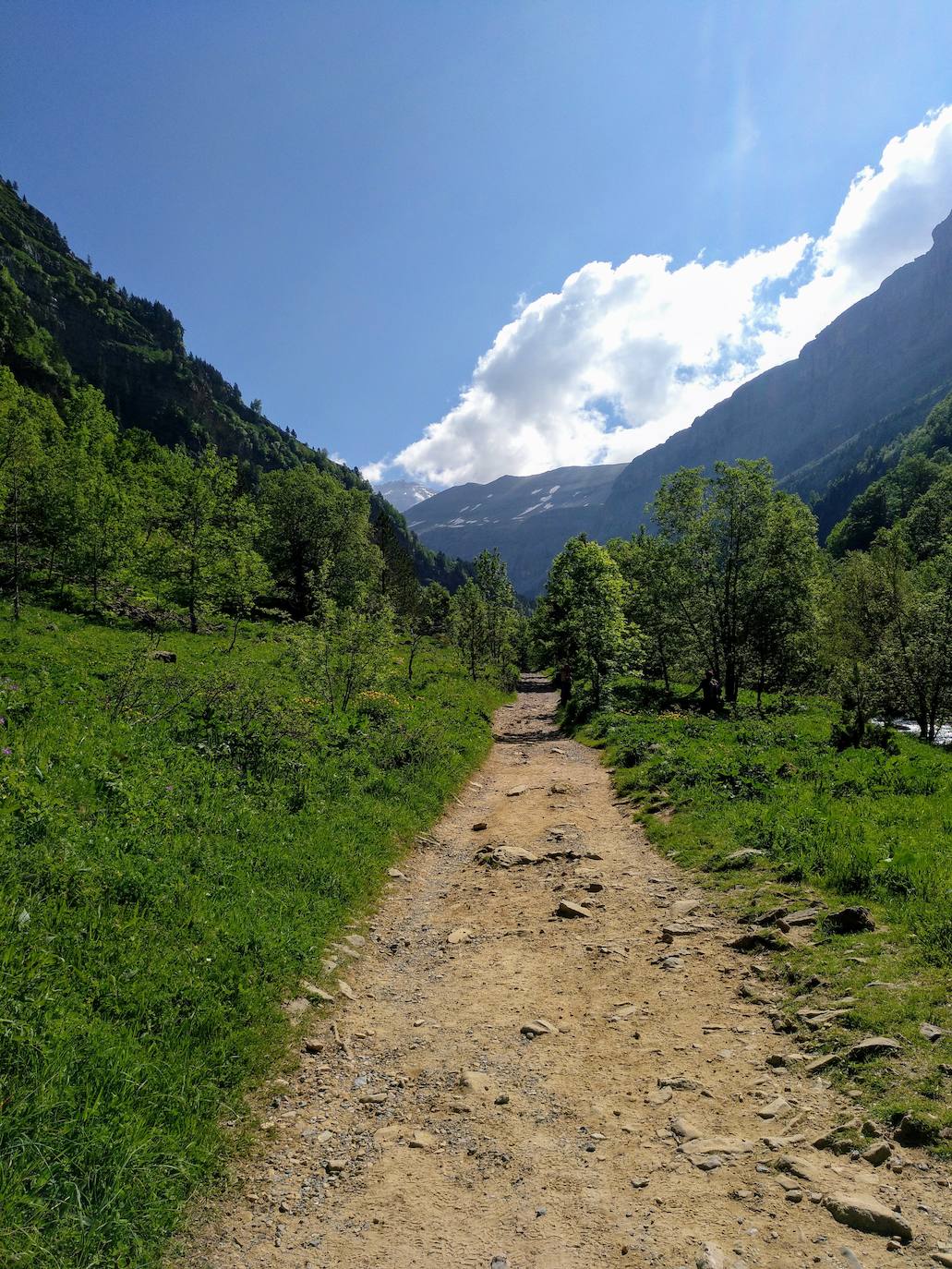 Pasadas las gradas de Soaso, el bosque se abre y se pueden contemplar las dimensiones del valle