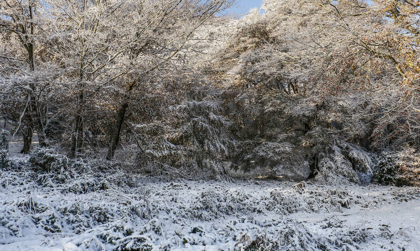 Fotos: Estampas que deja hoy la nieve en Herrera