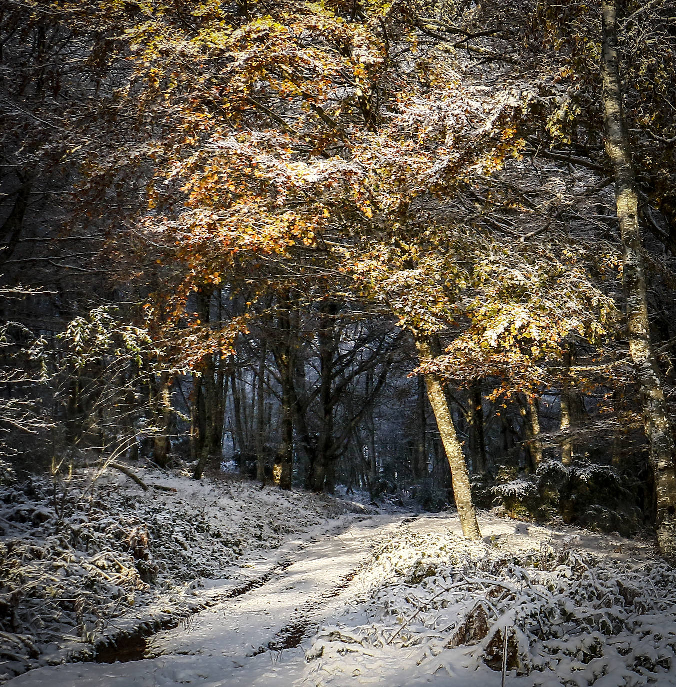 Fotos: Estampas que deja hoy la nieve en Herrera