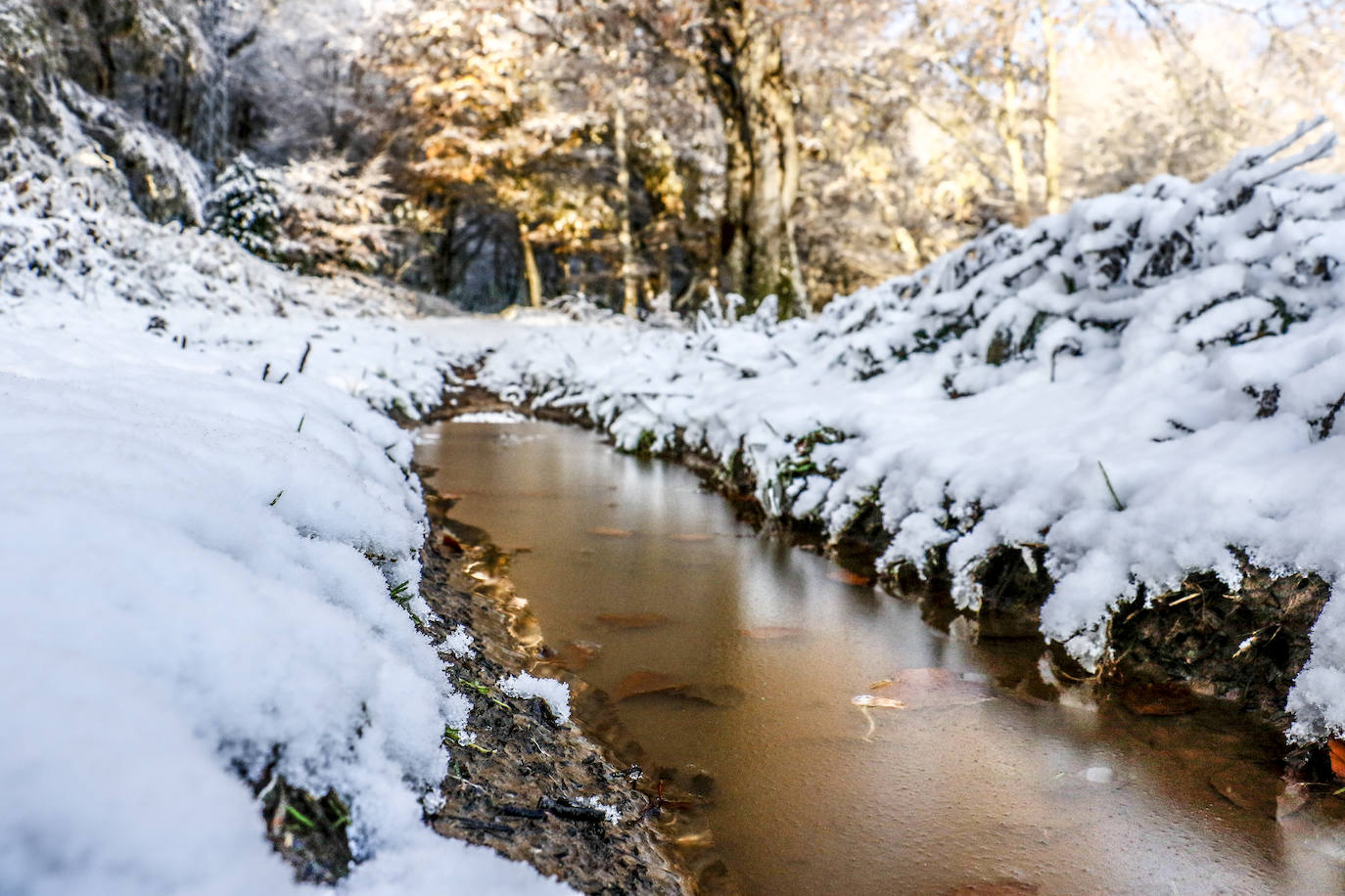 Fotos: Estampas que deja hoy la nieve en Herrera