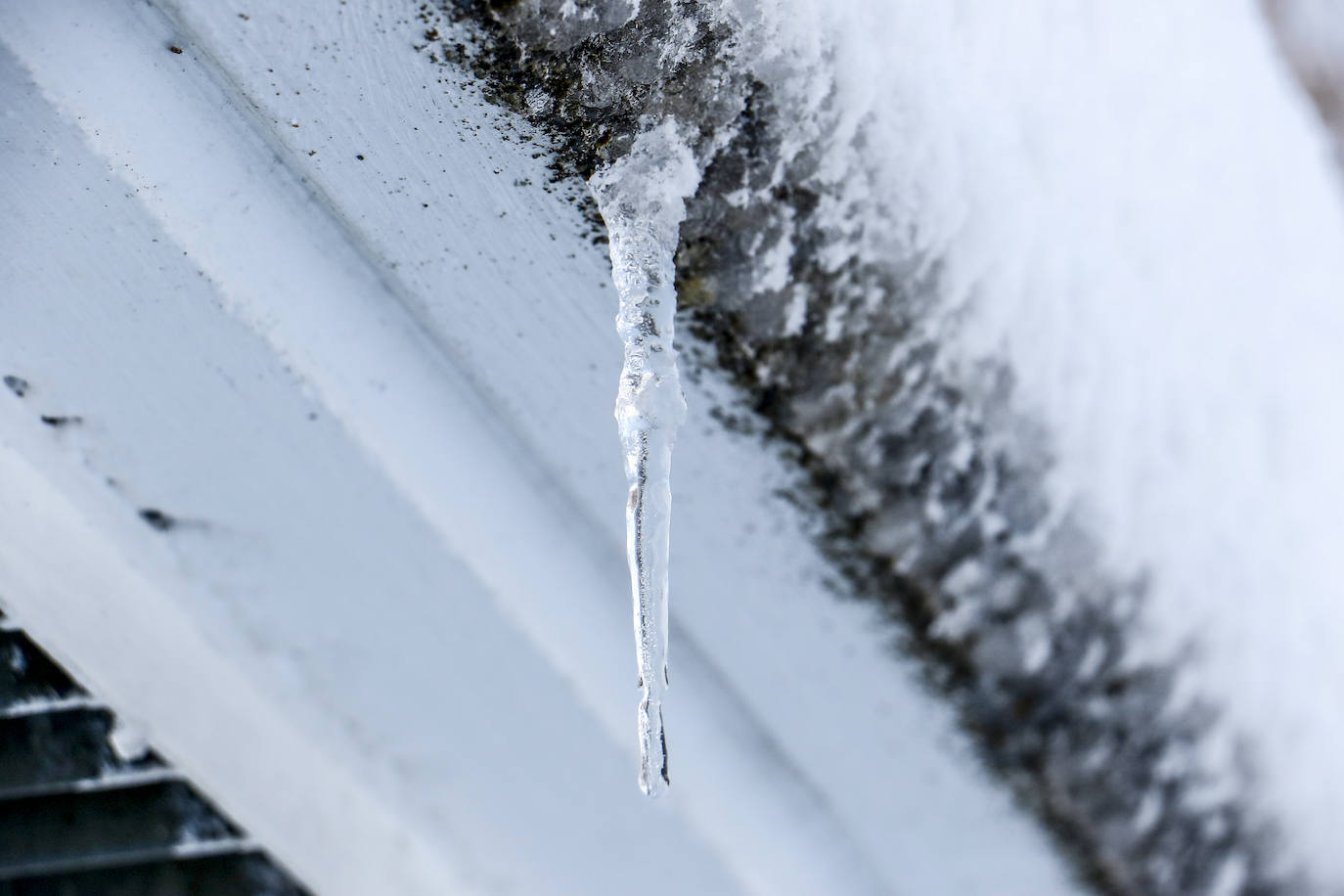 Fotos: Estampas que deja hoy la nieve en Herrera