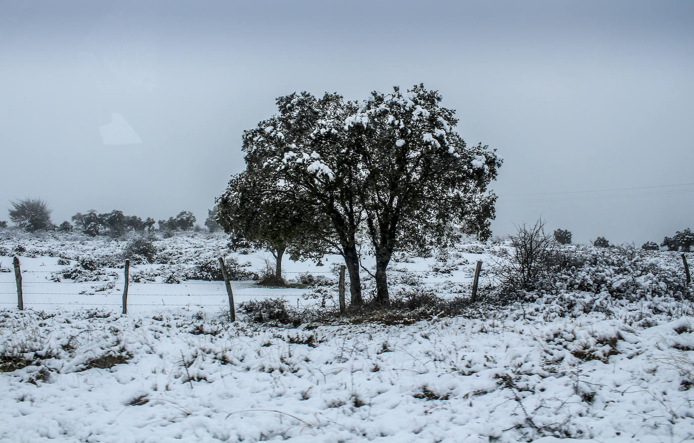 Orduña