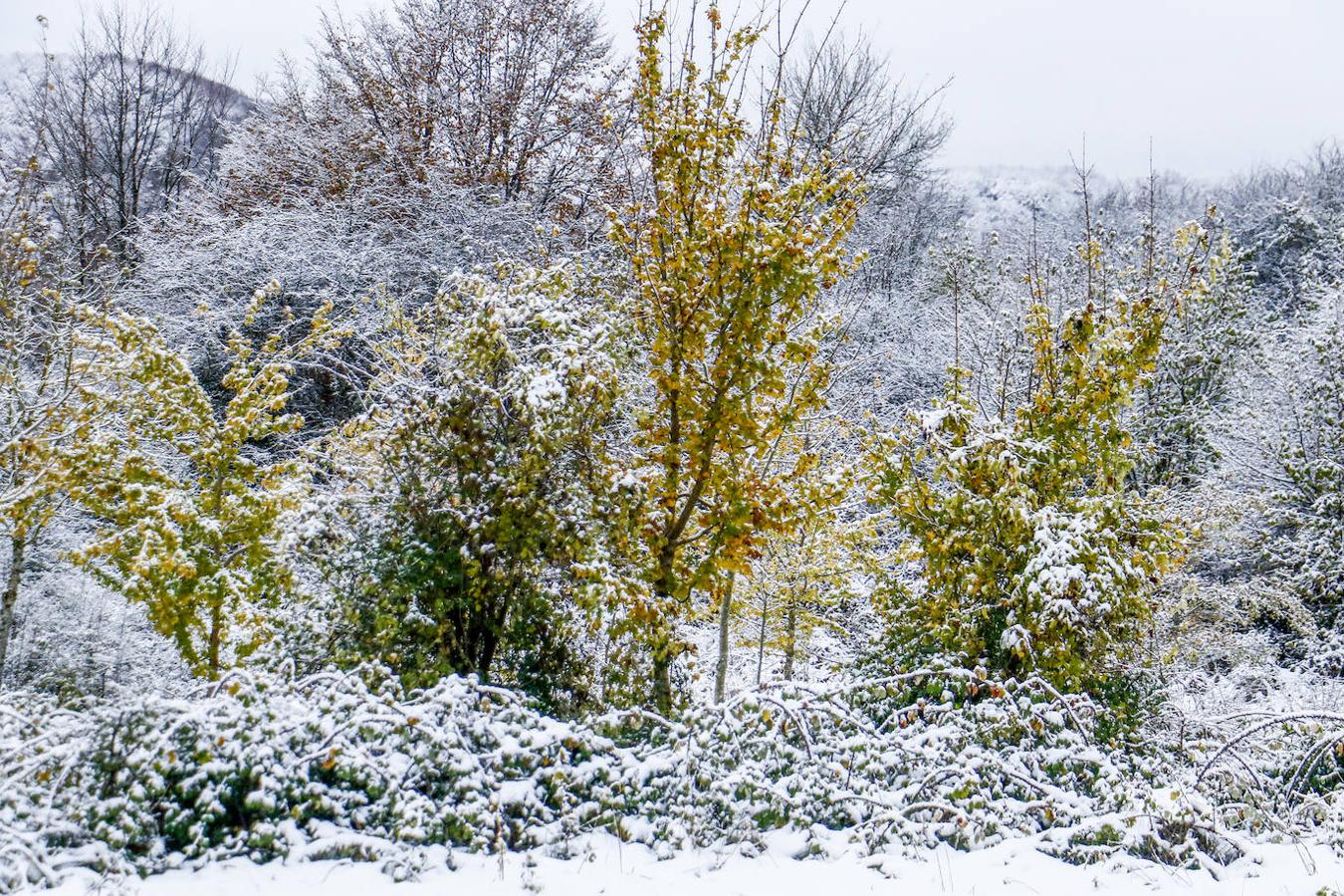 Fotos: Estampas invernales en los puertos alaveses