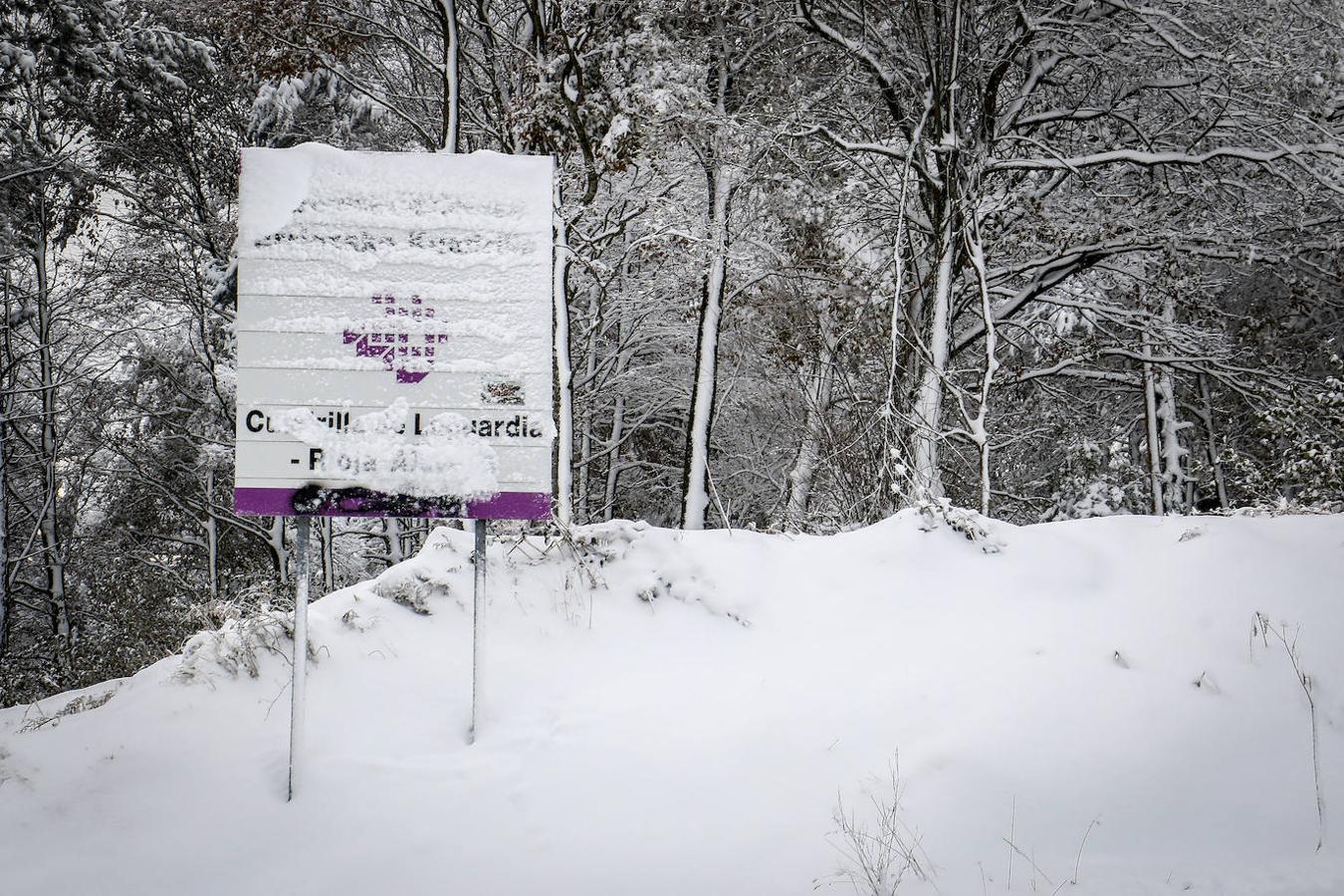 Fotos: Estampas invernales en los puertos alaveses