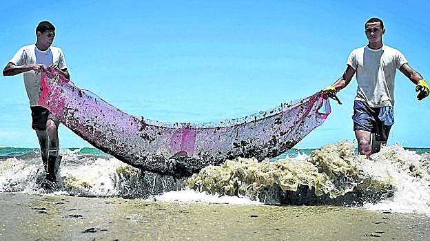 Voluntarios en la playa de Paiva, en Cabo de Santo Agostinho.