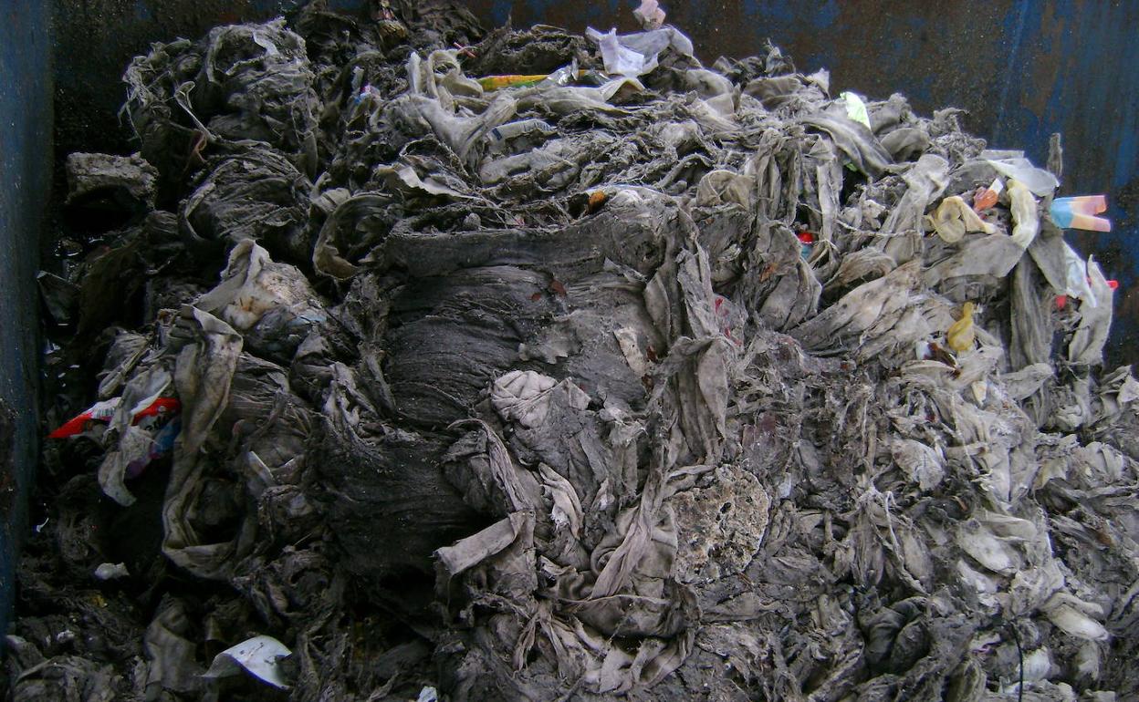 Zapitxo hezeak botatzeak etxeetan eta zorrotenetan buxadurak sor ditzakete. 