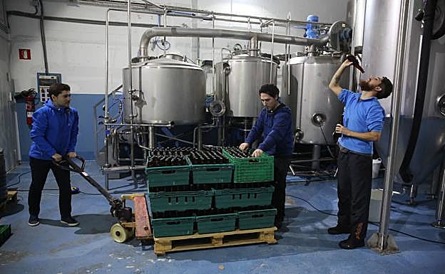 Área de trabajo de la cervecera.