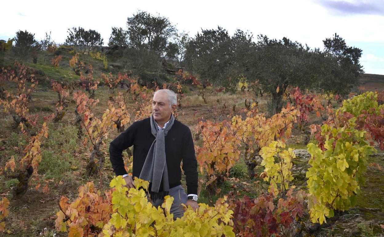 Juan Luis Cañas observa un viñedo.