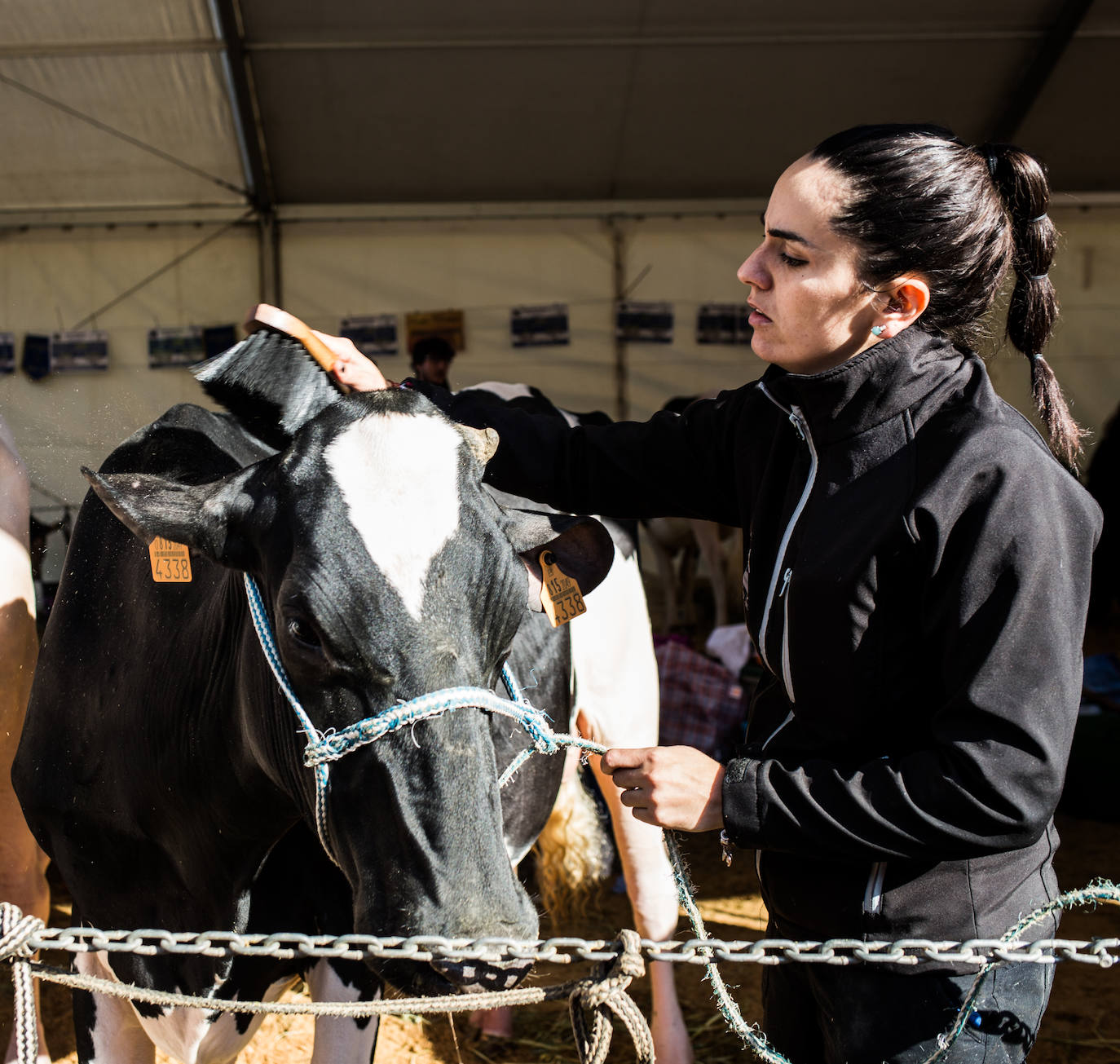 Fotos: Gordexola disfruta de su feria ganadera, agrícola y de artesanía