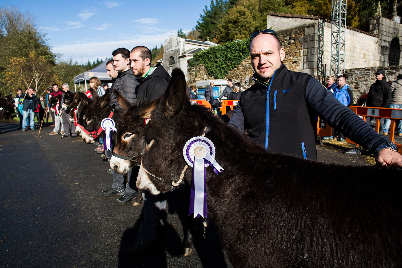 Fotos: Gordexola disfruta de su feria ganadera, agrícola y de artesanía