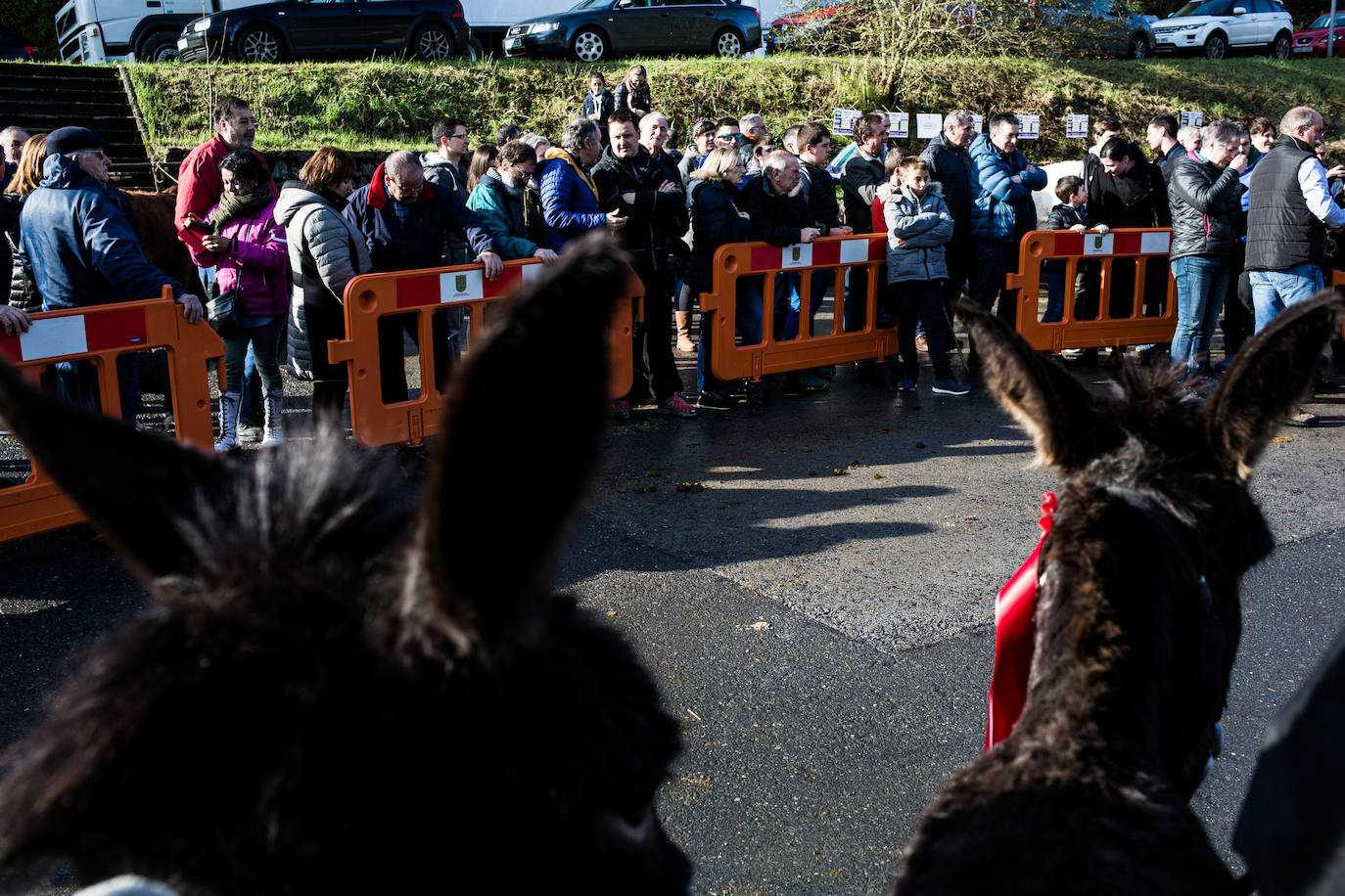 Fotos: Gordexola disfruta de su feria ganadera, agrícola y de artesanía