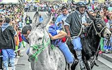 Barricas por burros