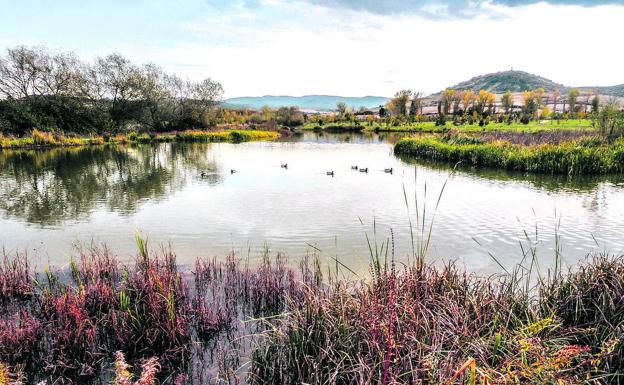 En la zona estrecha del lago se levantará la pasarela flotante para unir la nueva entrada al parque con el resto de itinerarios. 