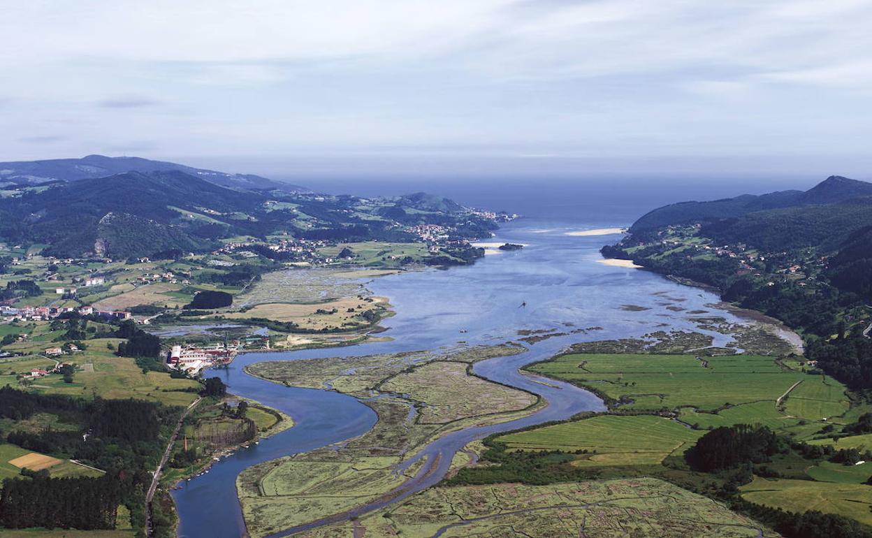 Vista aerea de la Reserva de la Biosfera de Urdaibai