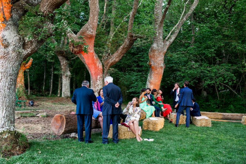 Fotos: La boda de Amaia y Javi en un caserío