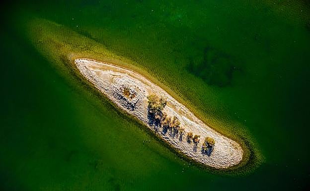 Tercer premio: 'En la niebla', de Óscar Arraiz.'