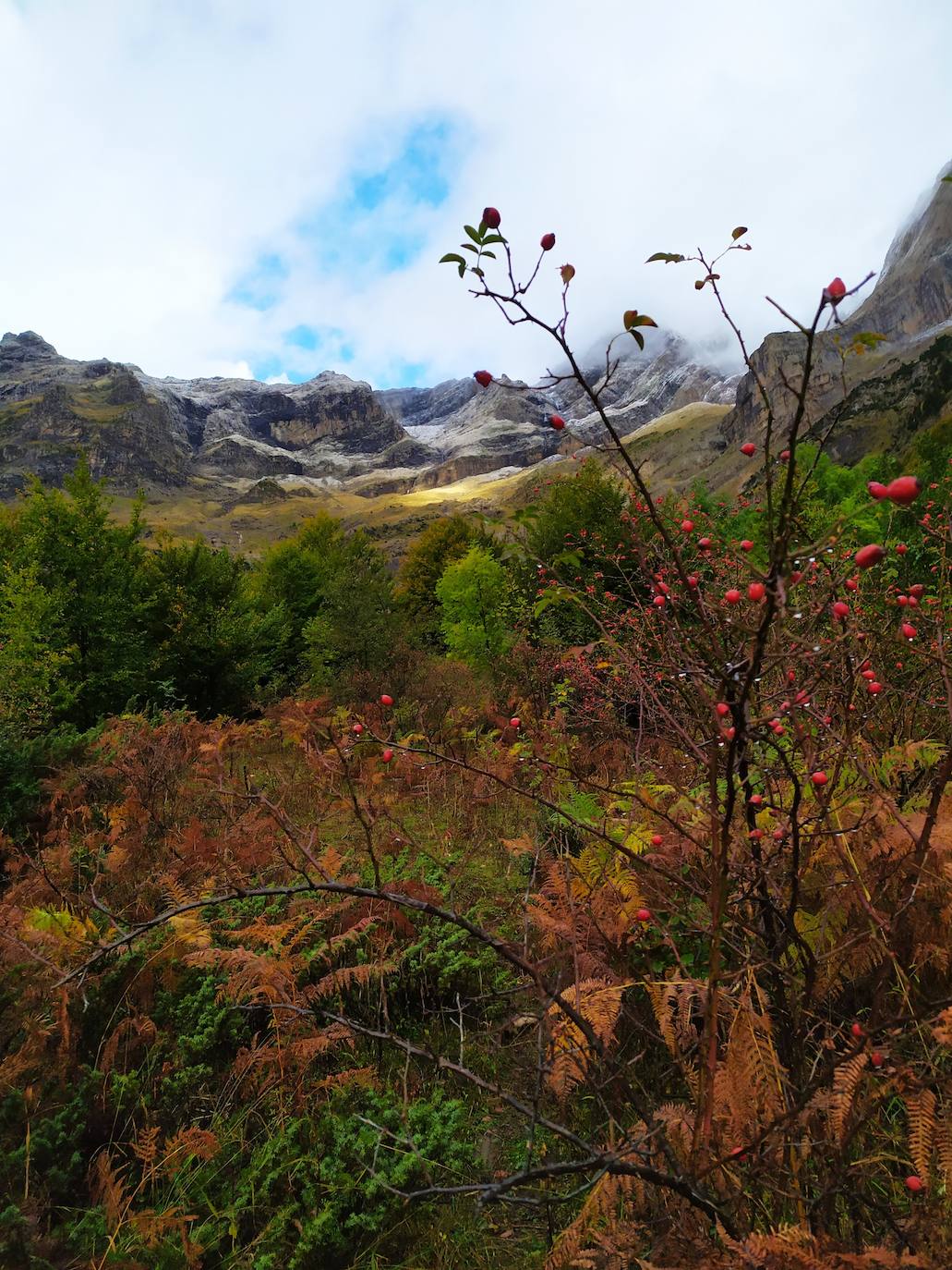 Los colores del otoño pronto dejarán paso al blanco del invierno