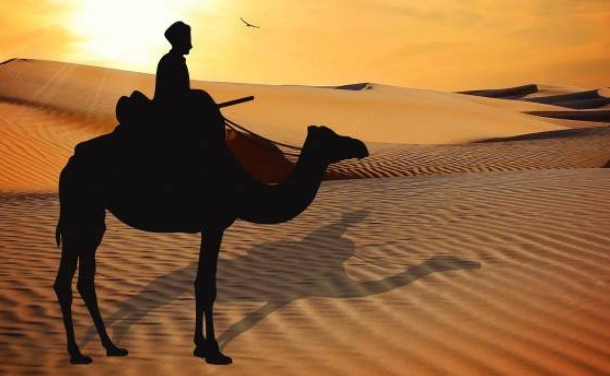 «Tozeurreraino joan zen gamelu baten bizkarrean».