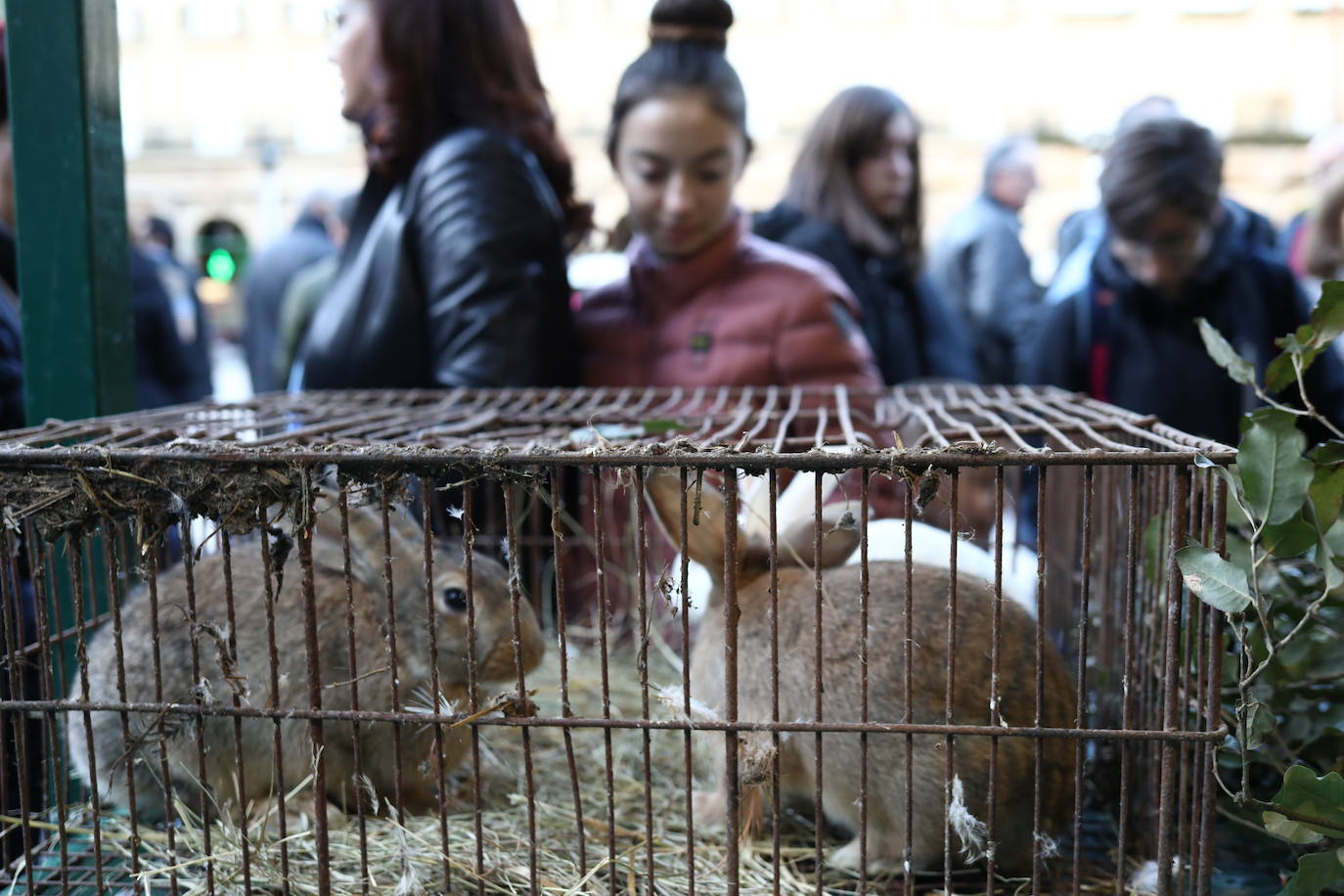Los baserritarras ofrecen lo mejor de su producción. 