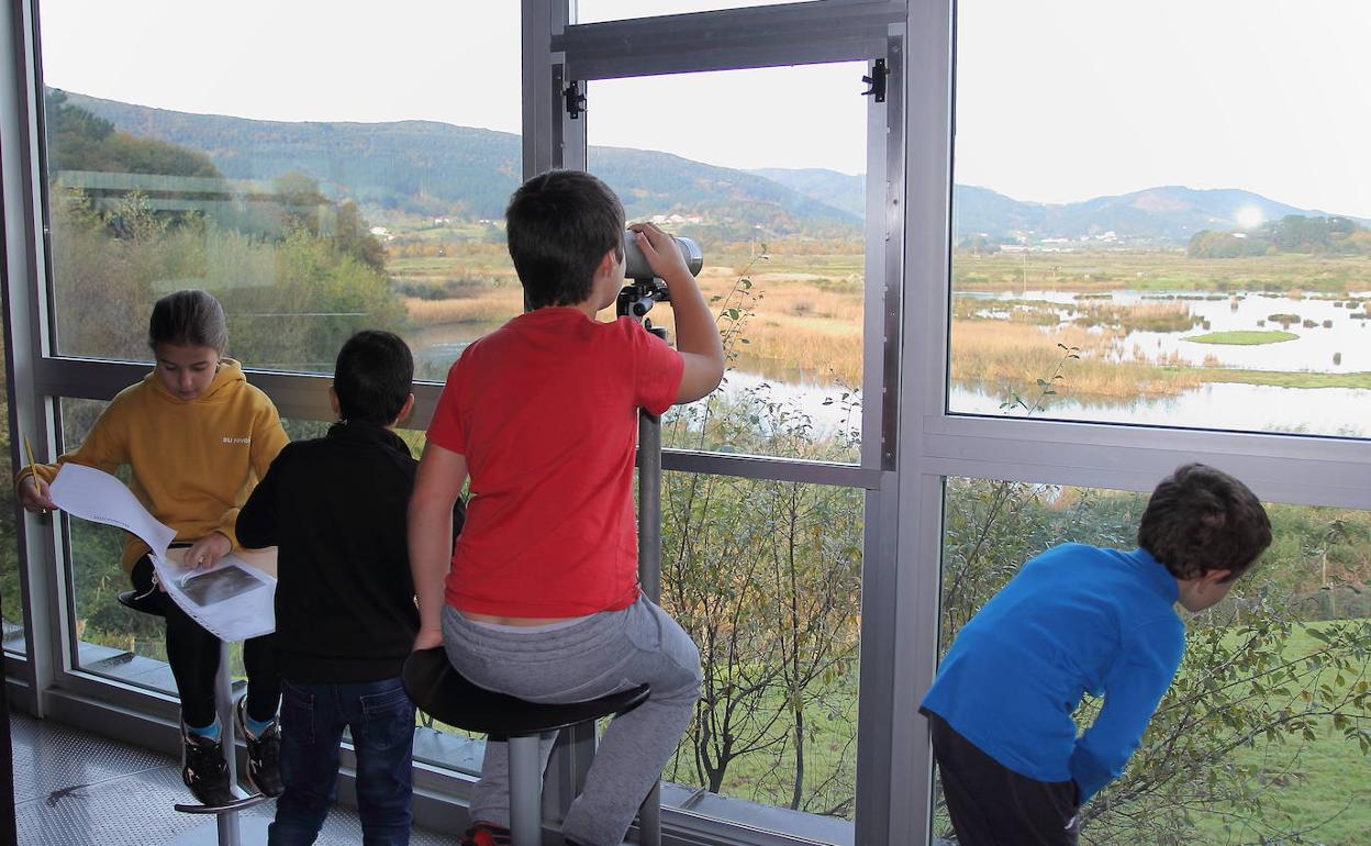 Haur talde bat Urdaibaiko erreserban txoriak ikusten Bird Centerreko instalazioetatik. 