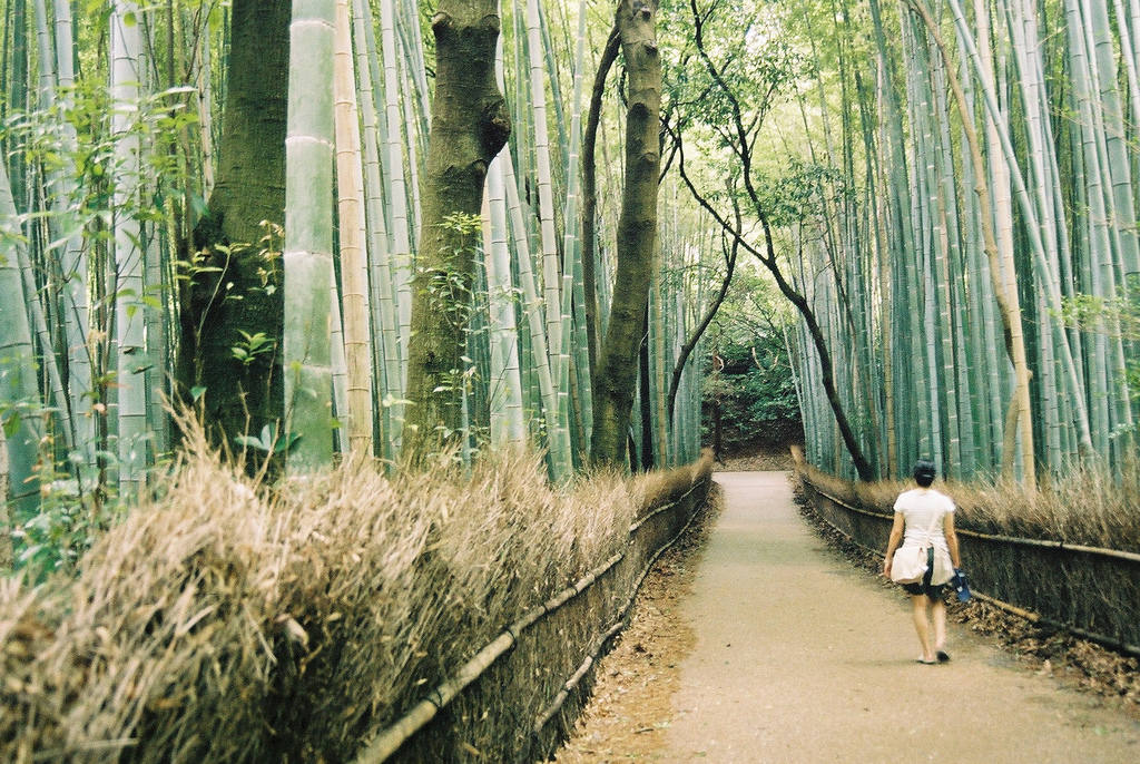 Arashiyama, Kioto (Japón) 