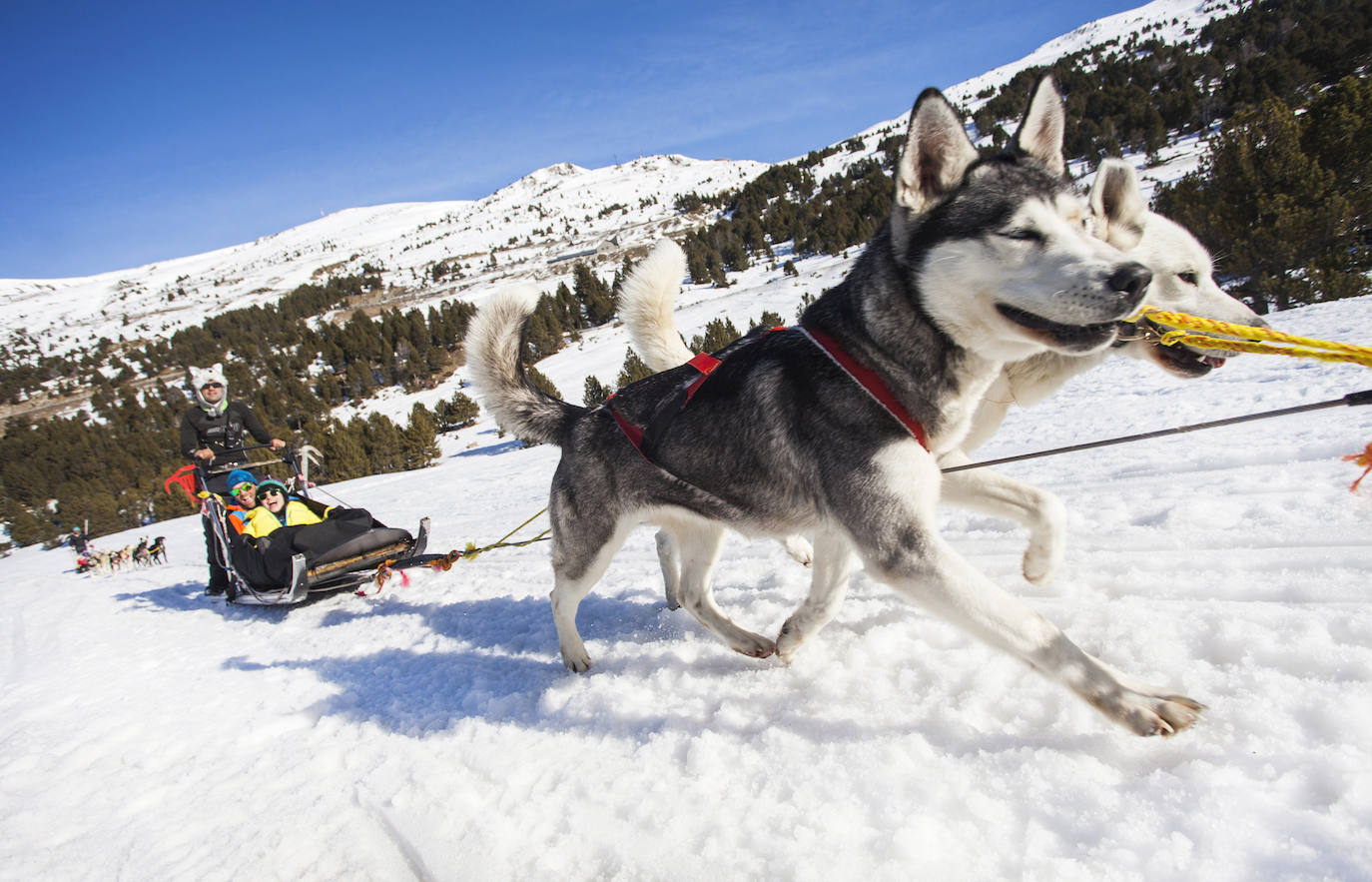 Fotos: Actividades nocturnas, juegos para los niños, senderismo... para disfrutar de los Pirineos españoles