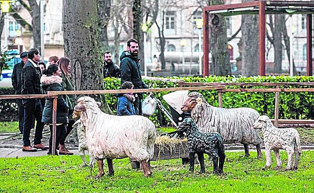El rebaño que pasta en La Florida ha perdido a una de sus ovejas.