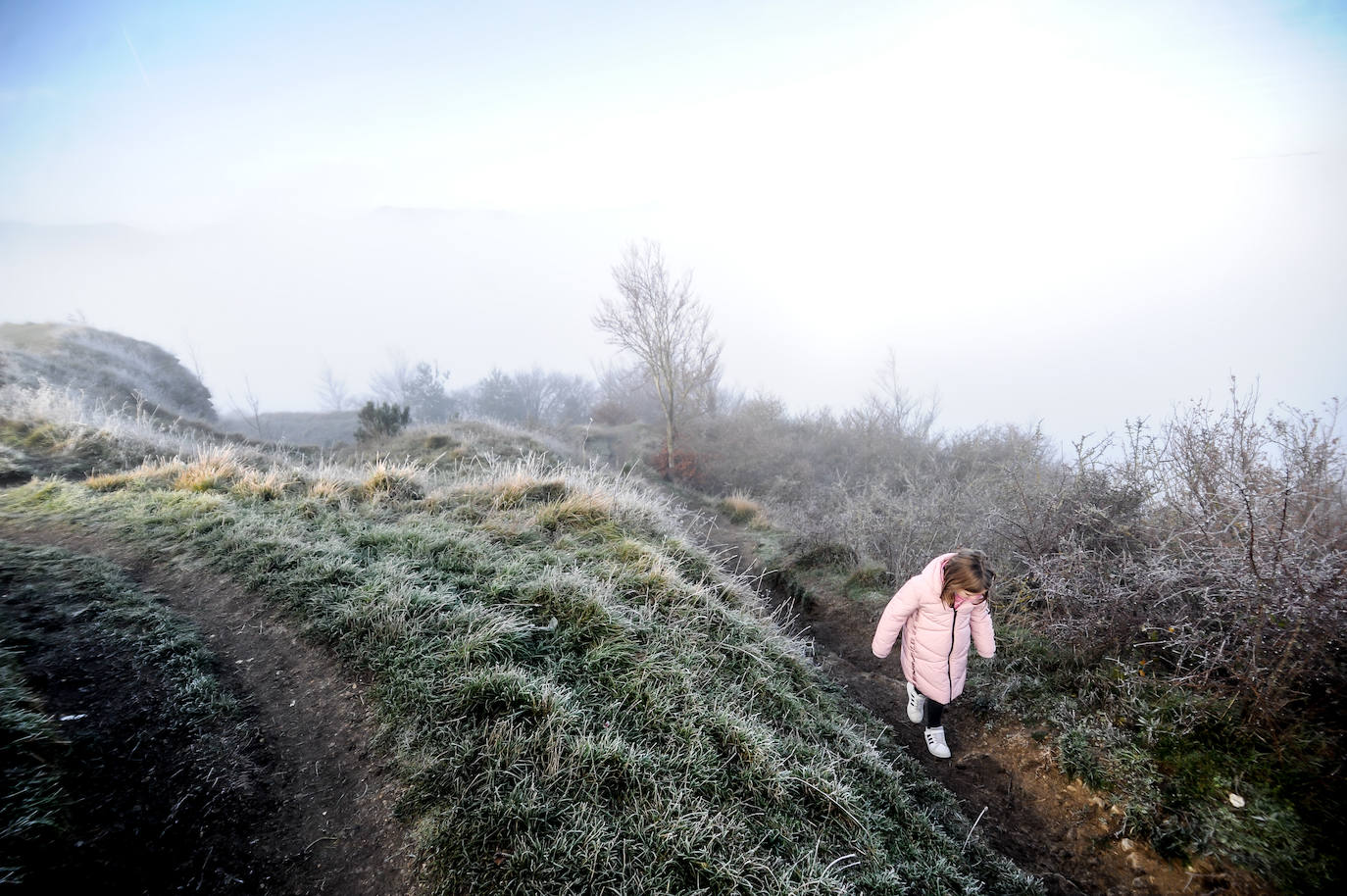 El frío y los bancos de niebla han vuelto a ser protagonistas en Álava. Tobillas, con -5,7 grados, ha marcado la mínima este 2 de enero en el territorio histórico. Salvatierra y Antoñana, con -3,6, y Vitoria, con -2,6 grados, son otros de los rincones de la geografía alavesa donde las temperaturas han caído por debajo de cero.