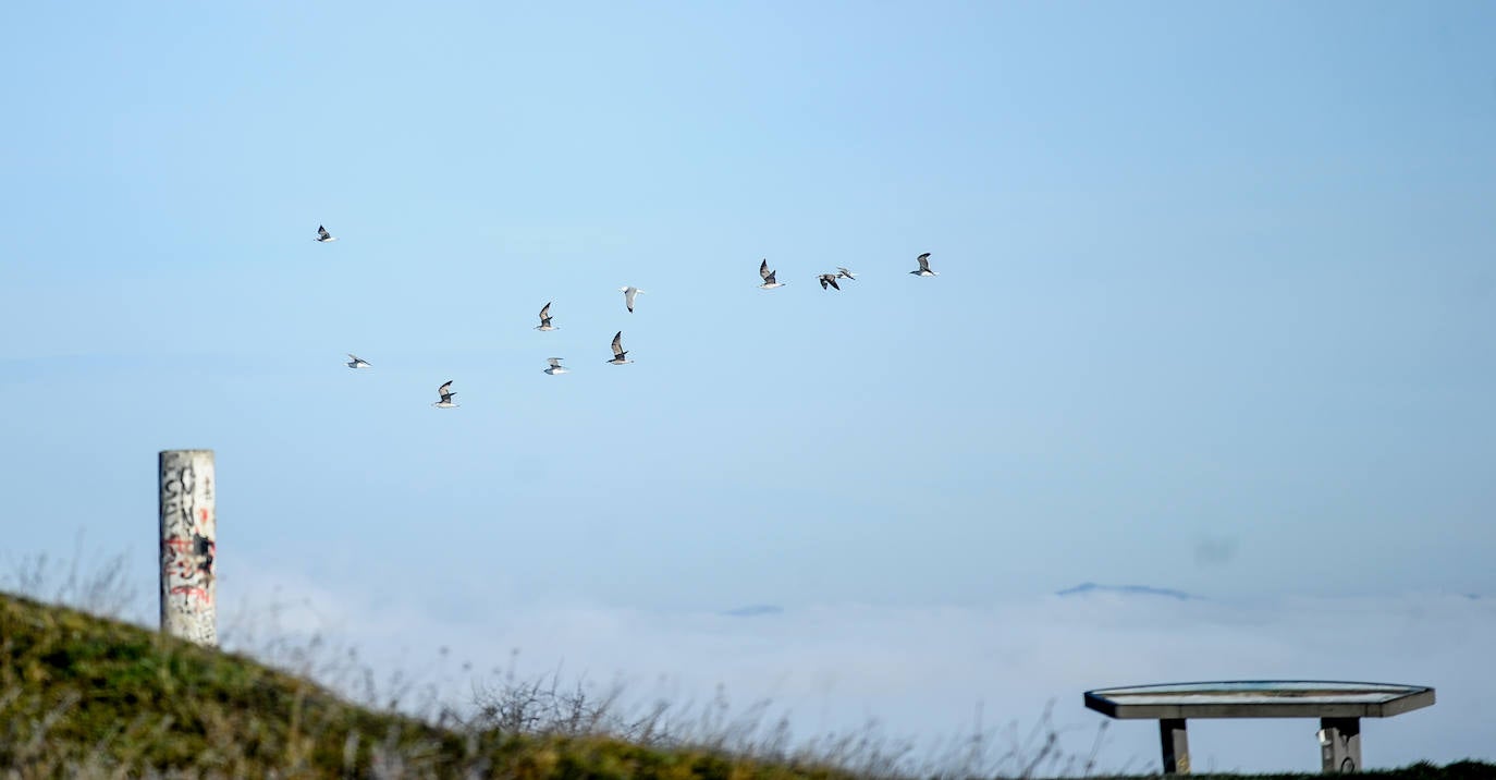 El frío y los bancos de niebla han vuelto a ser protagonistas en Álava. Tobillas, con -5,7 grados, ha marcado la mínima este 2 de enero en el territorio histórico. Salvatierra y Antoñana, con -3,6, y Vitoria, con -2,6 grados, son otros de los rincones de la geografía alavesa donde las temperaturas han caído por debajo de cero.