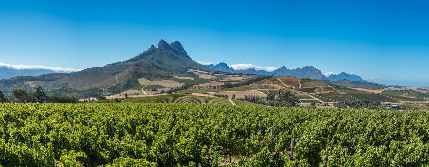 Cape Winelands, también conocida como la capital culinaria de Sudáfrica, es un distrito municipal situado muy cerca de Ciudad del Cabo de obligada visita para los amantes de la naturaleza y de la gastronomía. Es una excelente zona productora de vino rodeada de magníficas cadenas montañosas.